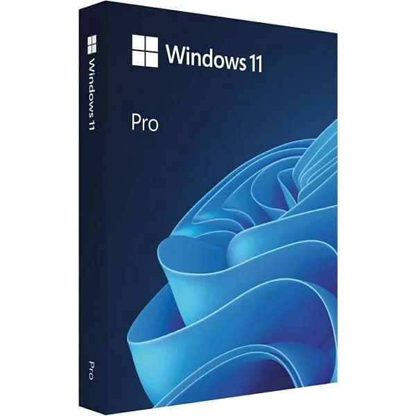 Microsoft Windows 11 Professional 64-bit Cro FPP, USB, HAV-00141