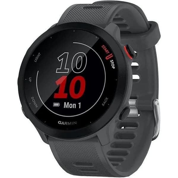 Pametni sat Garmin Forerunner 55, 42mm, monterra sivi