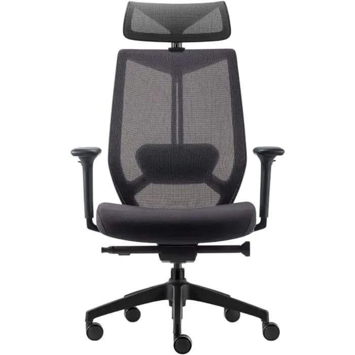 Uredska stolica Ergovision Spectra, Black