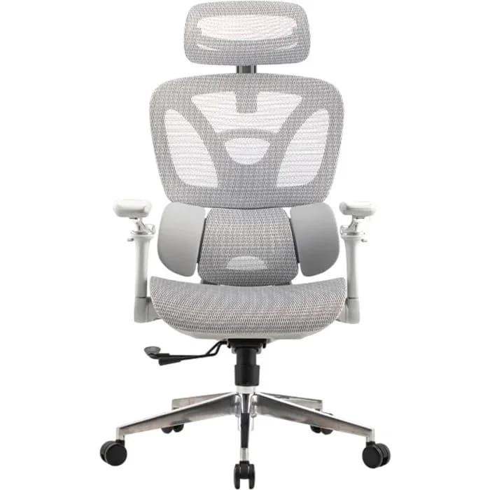 Uredska stolica Ergovision Trek Plus, siva